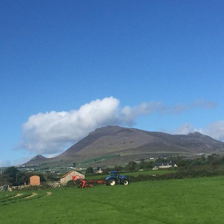 Willowtree Glamping Mournes Villa Annalong Luaran gambar