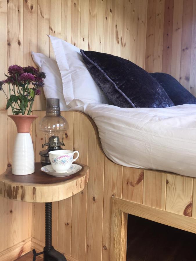 Willowtree Glamping Mournes Villa Annalong Luaran gambar