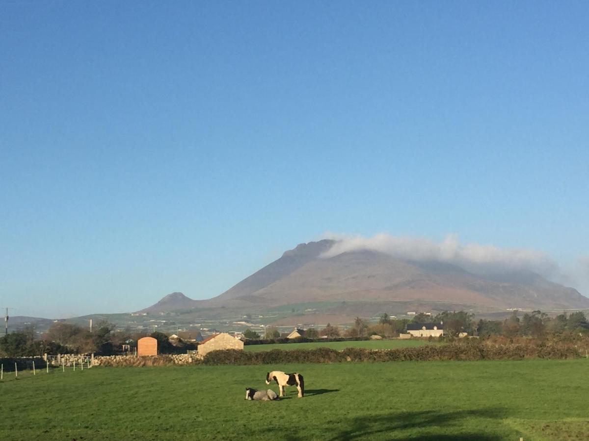 Willowtree Glamping Mournes Villa Annalong Luaran gambar